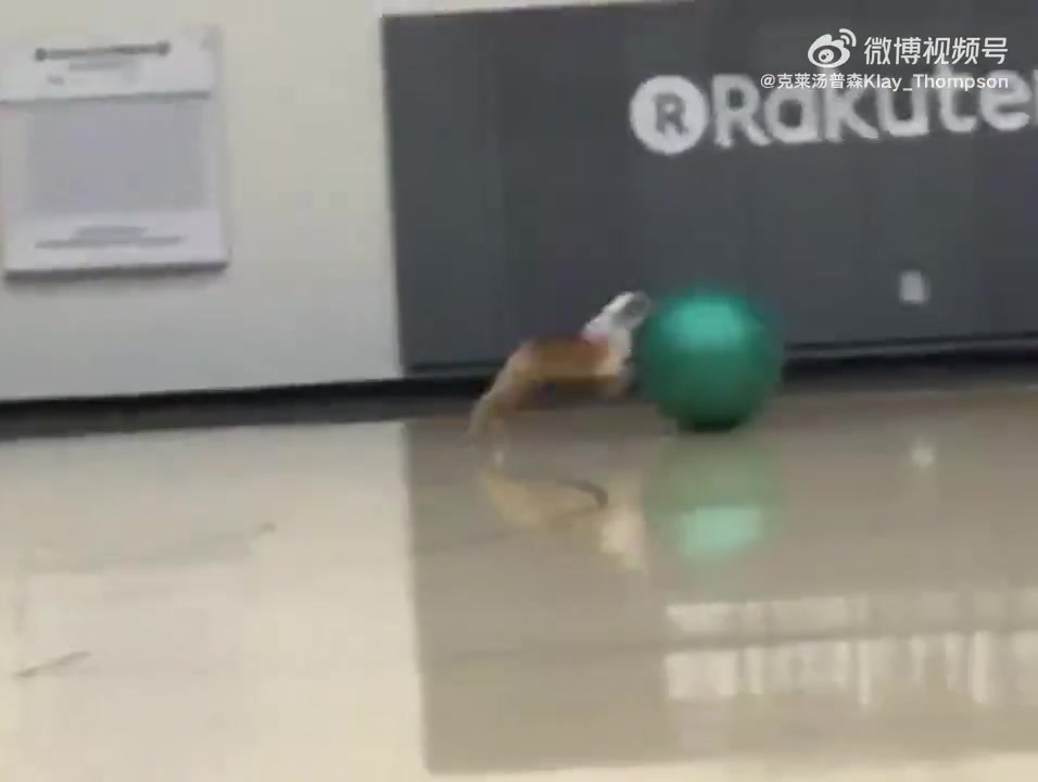 好可爱啊克莱的爱犬Rocco去世了他一定很伤心吧